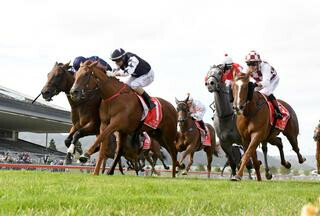 Scott Base (NZ) returned to winning form in the $100,000 Group 2 Wellington Guineas (1400m). Photo: Race Images P North
